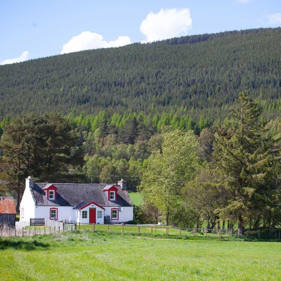 The Croft Cottage - Near Aviemore Dış mekan fotoğraf